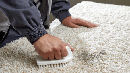 Professional Rug Cleaning Dixons Creek